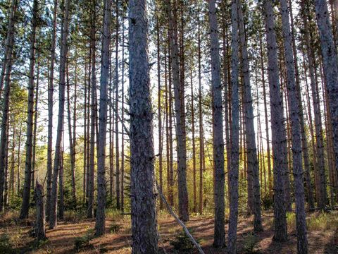 Tiny photo for ABC Bally Creek Rd, Grand Marais, MN 55604 (MLS # 6122477)