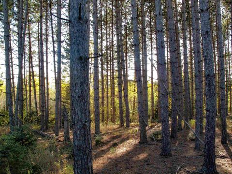 Tiny photo for ABC Bally Creek Rd, Grand Marais, MN 55604 (MLS # 6122477)