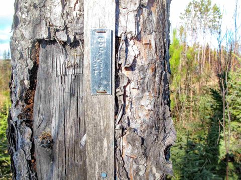 Tiny photo for ABC Bally Creek Rd, Grand Marais, MN 55604 (MLS # 6122477)