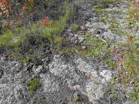 Tiny photo for ABC Bally Creek Rd, Grand Marais, MN 55604 (MLS # 6122477)