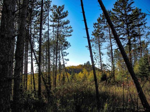 Tiny photo for ABC Bally Creek Rd, Grand Marais, MN 55604 (MLS # 6122477)