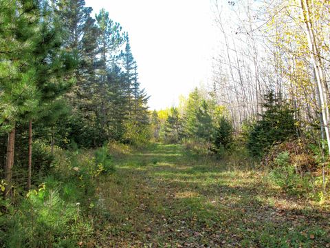 Tiny photo for ABC Bally Creek Rd, Grand Marais, MN 55604 (MLS # 6122477)