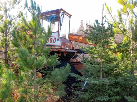 Tiny photo for ABC Bally Creek Rd, Grand Marais, MN 55604 (MLS # 6122477)