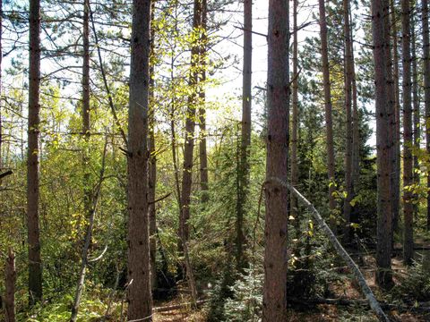 Tiny photo for ABC Bally Creek Rd, Grand Marais, MN 55604 (MLS # 6122477)