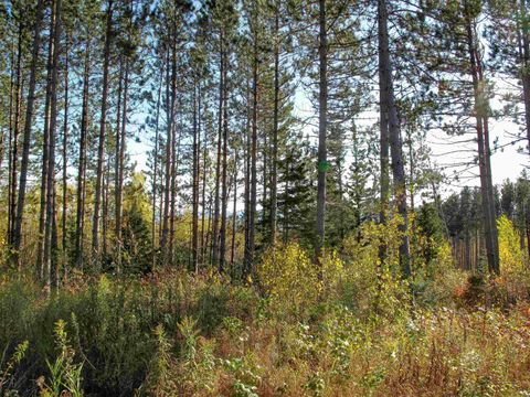 Tiny photo for ABC Bally Creek Rd, Grand Marais, MN 55604 (MLS # 6122477)