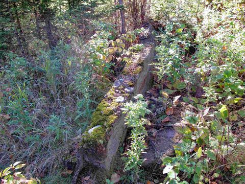 Tiny photo for ABC Bally Creek Rd, Grand Marais, MN 55604 (MLS # 6122477)