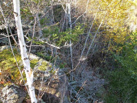 Tiny photo for ABC Bally Creek Rd, Grand Marais, MN 55604 (MLS # 6122477)