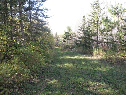 Tiny photo for ABC Bally Creek Rd, Grand Marais, MN 55604 (MLS # 6122477)