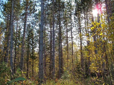 Tiny photo for ABC Bally Creek Rd, Grand Marais, MN 55604 (MLS # 6122477)