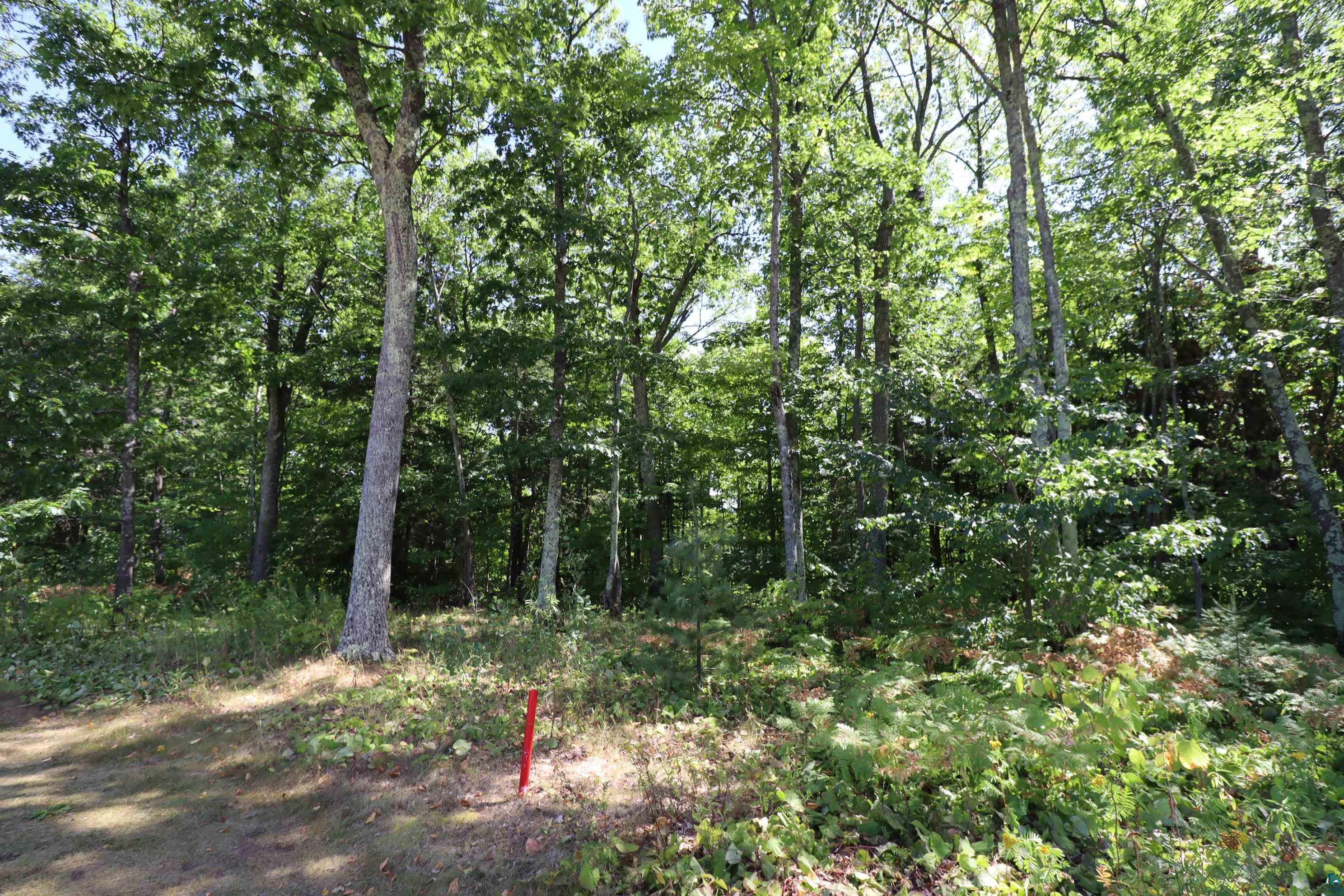 Lot 4 Apostle Highlands Blvd