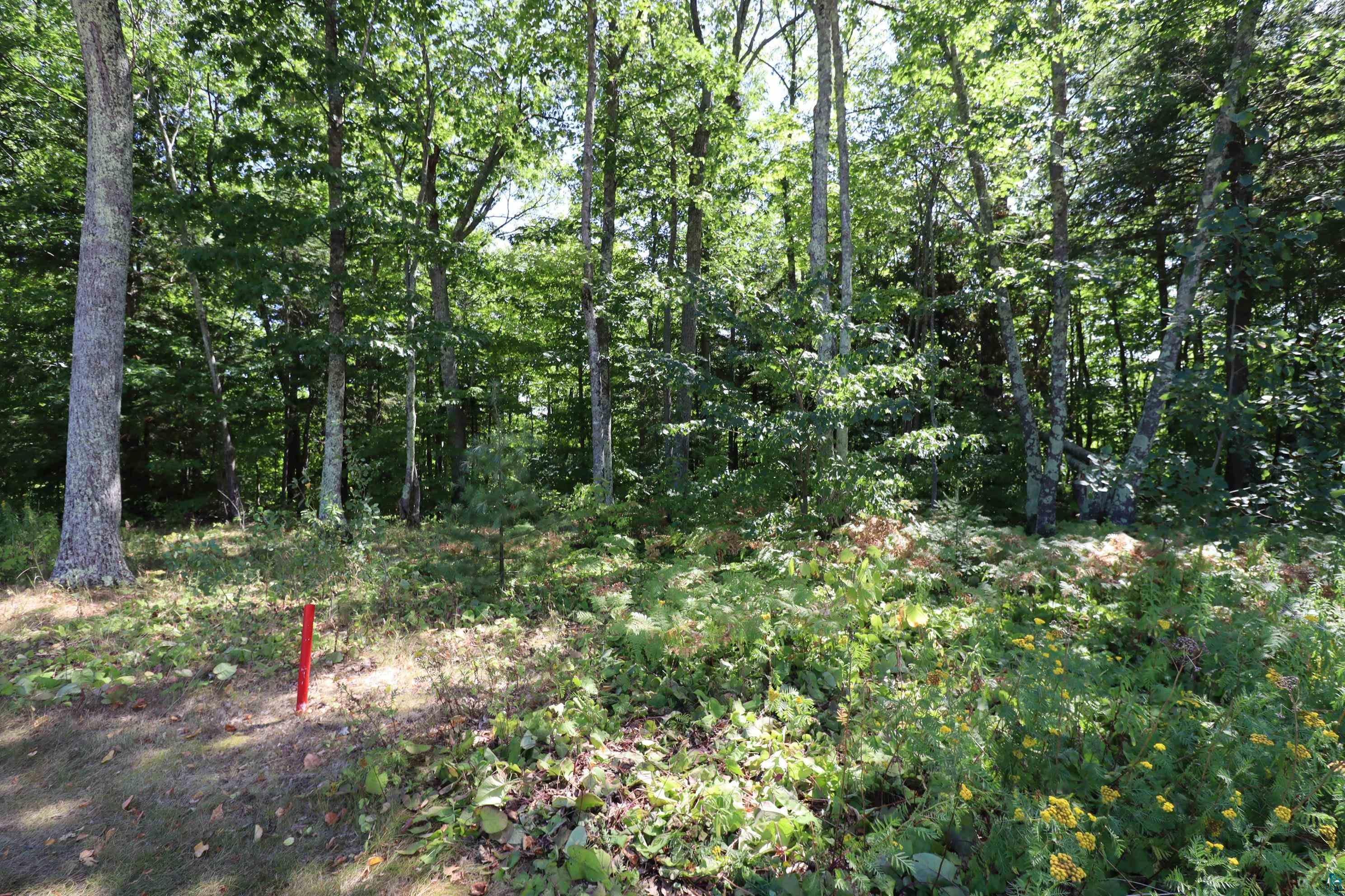 Lot 4 Apostle Highlands Blvd