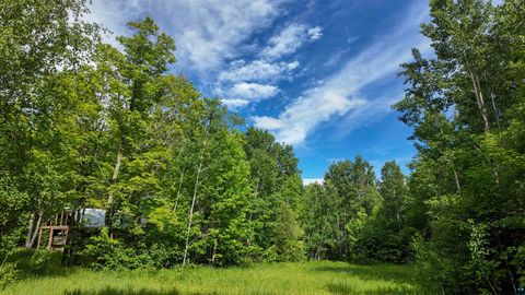 Photo of 760 Caspers Hill Rd, Grand Marais, MN 55604 (MLS # 6126716)