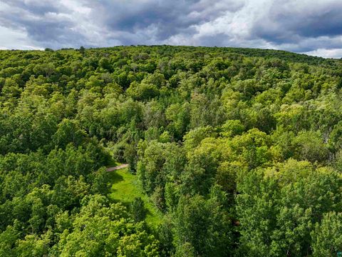Tiny photo for 760 Caspers Hill Rd, Grand Marais, MN 55604 (MLS # 6126716)