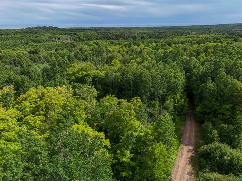 Tiny photo for 760 Caspers Hill Rd, Grand Marais, MN 55604 (MLS # 6126716)
