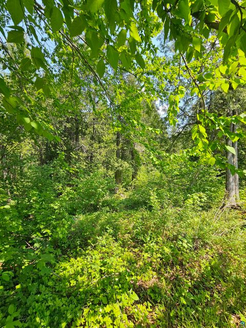 Tiny photo for 839 Loon Rd, Two Harbors, MN 55616 (MLS # 6124553)