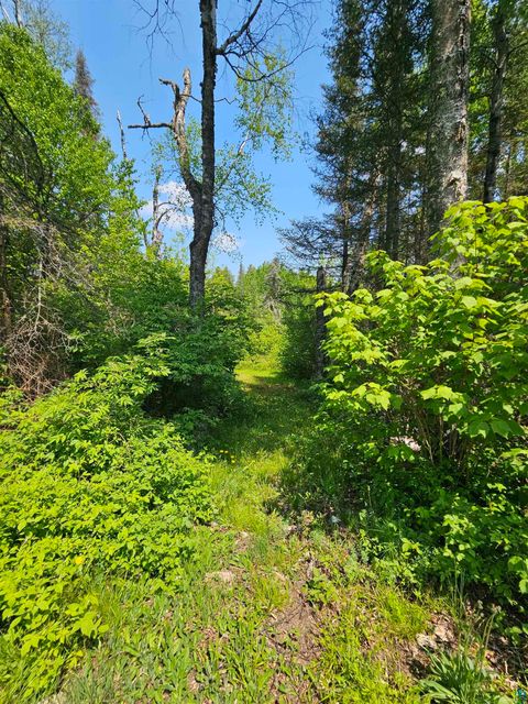 Tiny photo for 839 Loon Rd, Two Harbors, MN 55616 (MLS # 6124553)