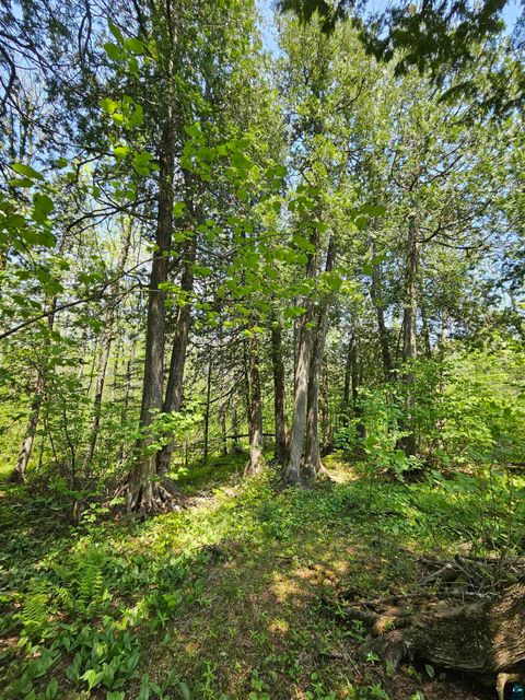 Tiny photo for 839 Loon Rd, Two Harbors, MN 55616 (MLS # 6124553)