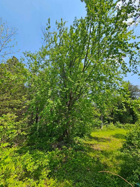 Tiny photo for 839 Loon Rd, Two Harbors, MN 55616 (MLS # 6124553)