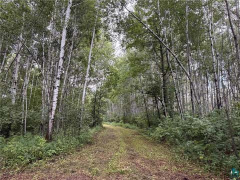 Photo of TBD County Rd 12, Kettle River, MN 55757 (MLS # 6127531)
