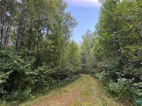 Tiny photo for TBD County Rd 12, Kettle River, MN 55757 (MLS # 6127531)