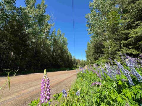 Tiny photo for 2 S Gunflint Lake, Grand Marais, MN 55604 (MLS # 6126472)