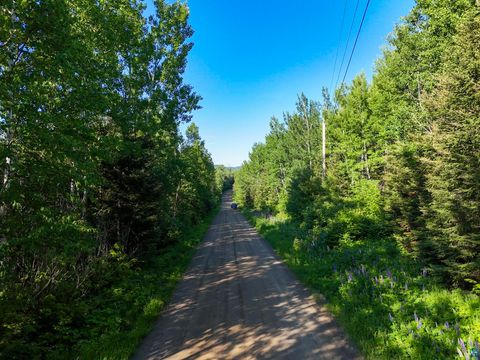 Tiny photo for 2 S Gunflint Lake, Grand Marais, MN 55604 (MLS # 6126472)