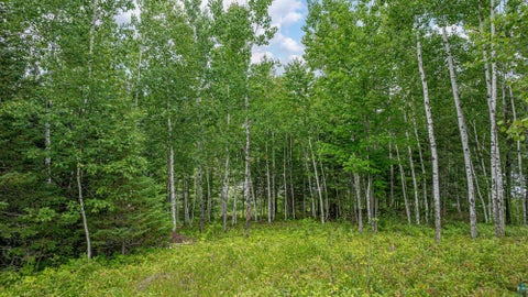 Tiny photo for 1359 Southwest Shores Tr, Ely, MN 55731 (MLS # 6127122)