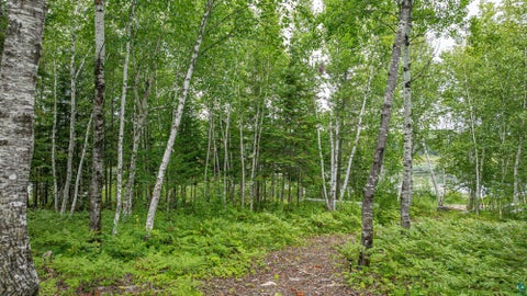 Tiny photo for 1359 Southwest Shores Tr, Ely, MN 55731 (MLS # 6127122)