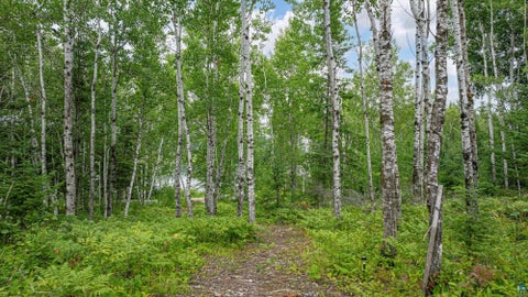 Tiny photo for 1359 Southwest Shores Tr, Ely, MN 55731 (MLS # 6127122)