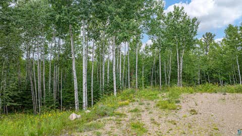Tiny photo for 1359 Southwest Shores Tr, Ely, MN 55731 (MLS # 6127122)