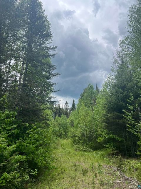 Tiny photo for XXX Camp 26 Rd, Finland, MN 55614 (MLS # 6125220)