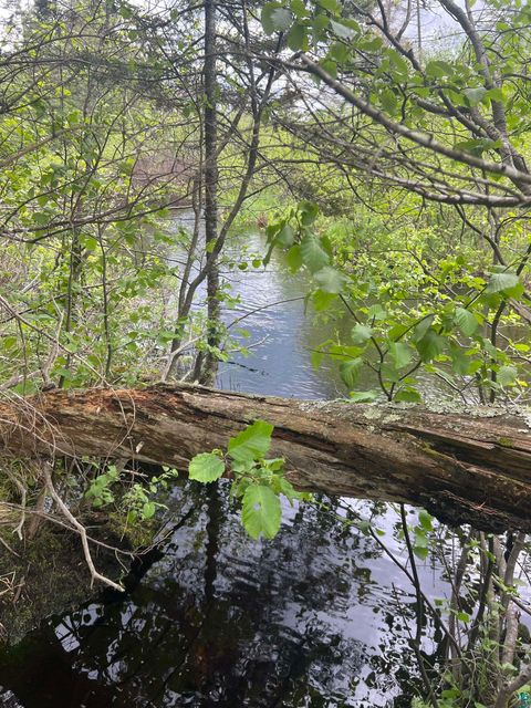 Tiny photo for XXX Camp 26 Rd, Finland, MN 55614 (MLS # 6125220)