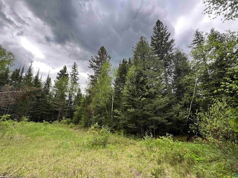 Tiny photo for XXX Camp 26 Rd, Finland, MN 55614 (MLS # 6125220)