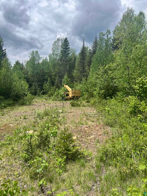 Tiny photo for XXX Camp 26 Rd, Finland, MN 55614 (MLS # 6125220)