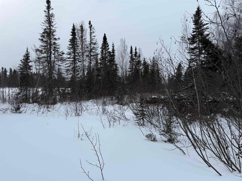 Tiny photo for XXX Zeke's Rd, Schroeder, MN 55613 (MLS # 6123403)