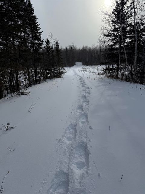 Tiny photo for XXX Zeke's Rd, Schroeder, MN 55613 (MLS # 6123403)