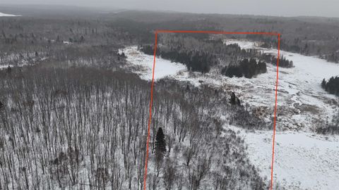 Tiny photo for XXX Zeke's Rd, Schroeder, MN 55613 (MLS # 6123403)