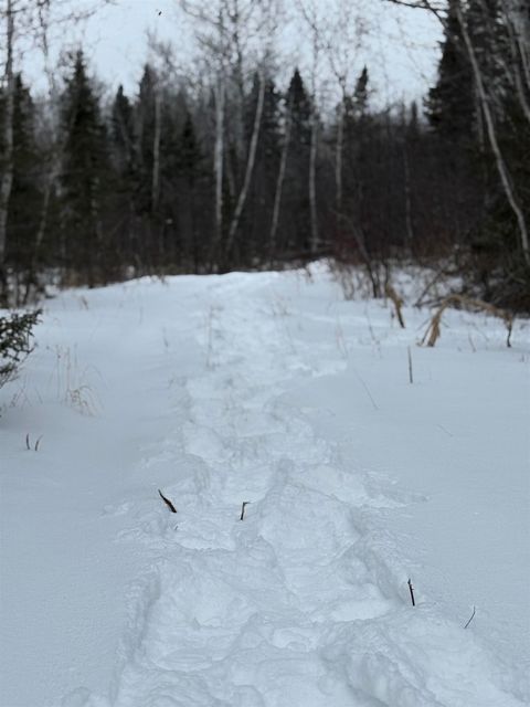 Tiny photo for XXX Zeke's Rd, Schroeder, MN 55613 (MLS # 6123403)