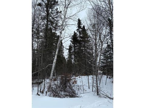 Tiny photo for XXX Zeke's Rd, Schroeder, MN 55613 (MLS # 6123403)
