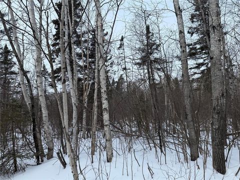 Tiny photo for XXX Zeke's Rd, Schroeder, MN 55613 (MLS # 6123403)