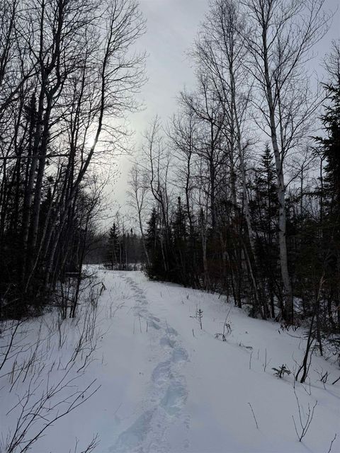 Tiny photo for XXX Zeke's Rd, Schroeder, MN 55613 (MLS # 6123403)