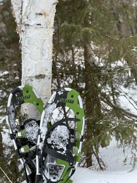 Tiny photo for XXX Zeke's Rd, Schroeder, MN 55613 (MLS # 6123403)