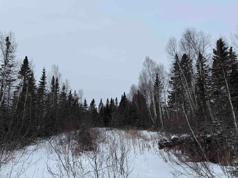 Tiny photo for XXX Zeke's Rd, Schroeder, MN 55613 (MLS # 6123403)