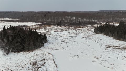 Tiny photo for XXX Zeke's Rd, Schroeder, MN 55613 (MLS # 6123403)