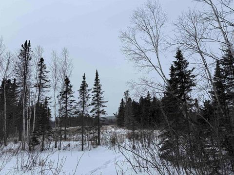 Tiny photo for XXX Zeke's Rd, Schroeder, MN 55613 (MLS # 6123403)