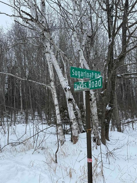 Tiny photo for XXX Zeke's Rd, Schroeder, MN 55613 (MLS # 6123403)