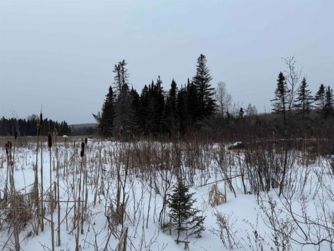 Tiny photo for XXX Zeke's Rd, Schroeder, MN 55613 (MLS # 6123403)