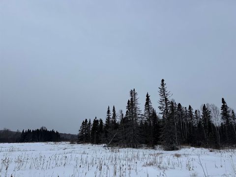 Tiny photo for XXX Zeke's Rd, Schroeder, MN 55613 (MLS # 6123403)