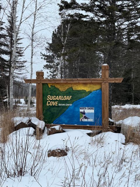 Tiny photo for XXX Zeke's Rd, Schroeder, MN 55613 (MLS # 6123403)