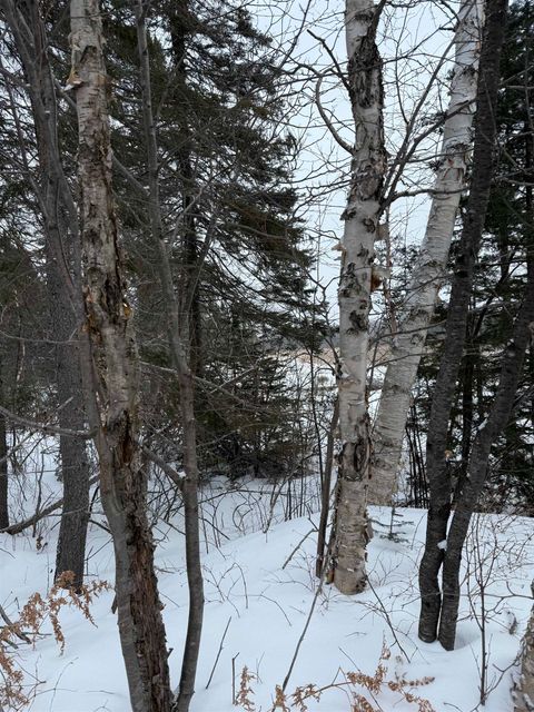 Tiny photo for XXX Zeke's Rd, Schroeder, MN 55613 (MLS # 6123403)